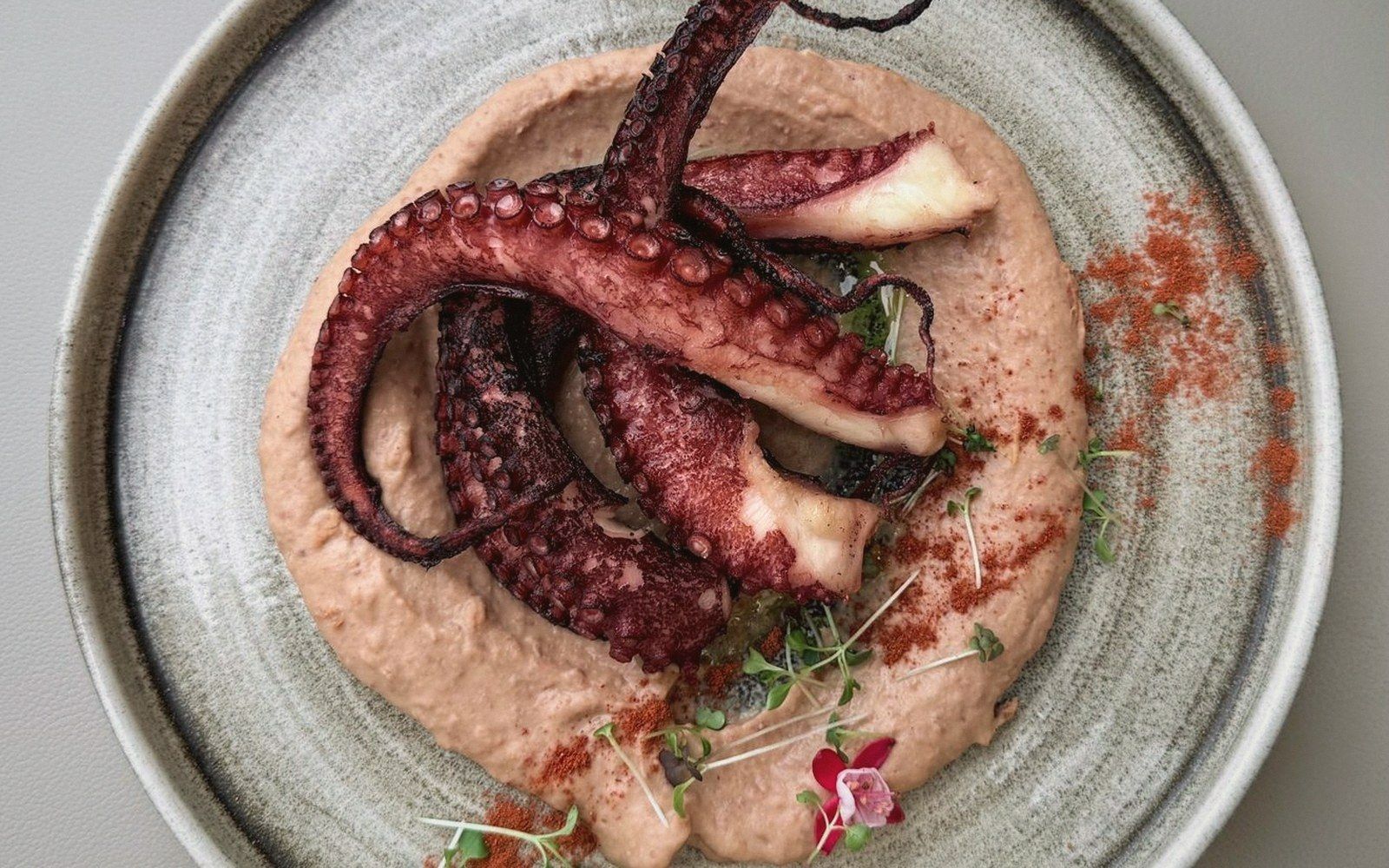 Grilled octopus tentacles served over a creamy pink puree with microgreens and paprika