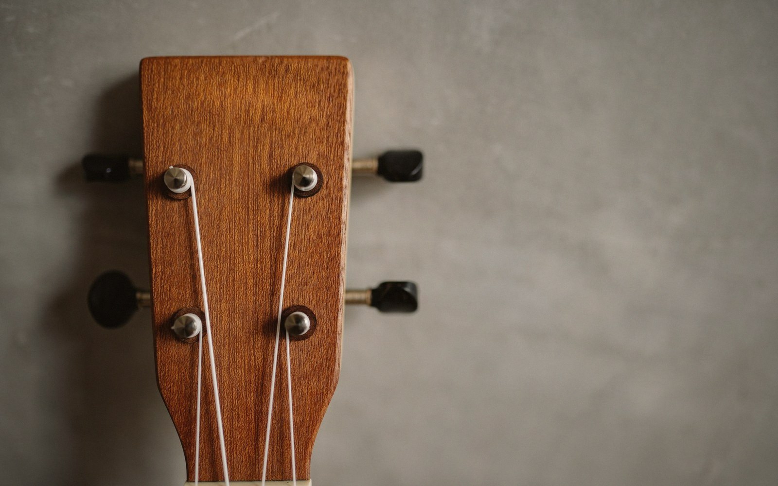 Close-up of a cavaquinho headstock with tuning pegs and strings against a gray wall