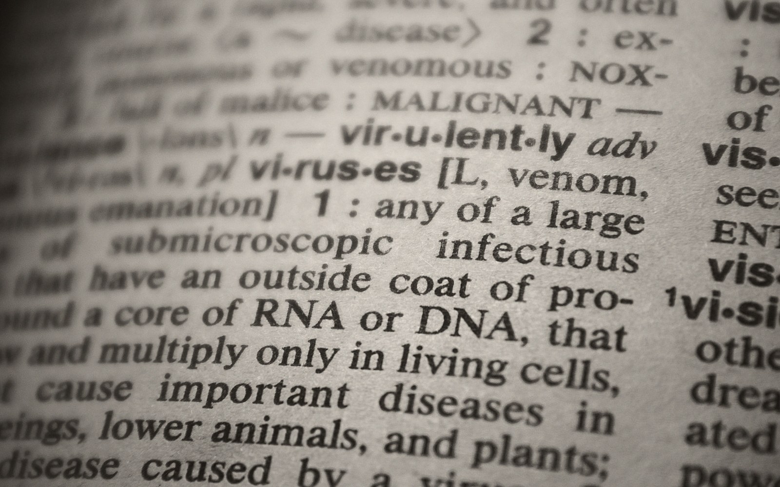 Close-up of a dictionary page showing the definition of "viruses" and "virulently"