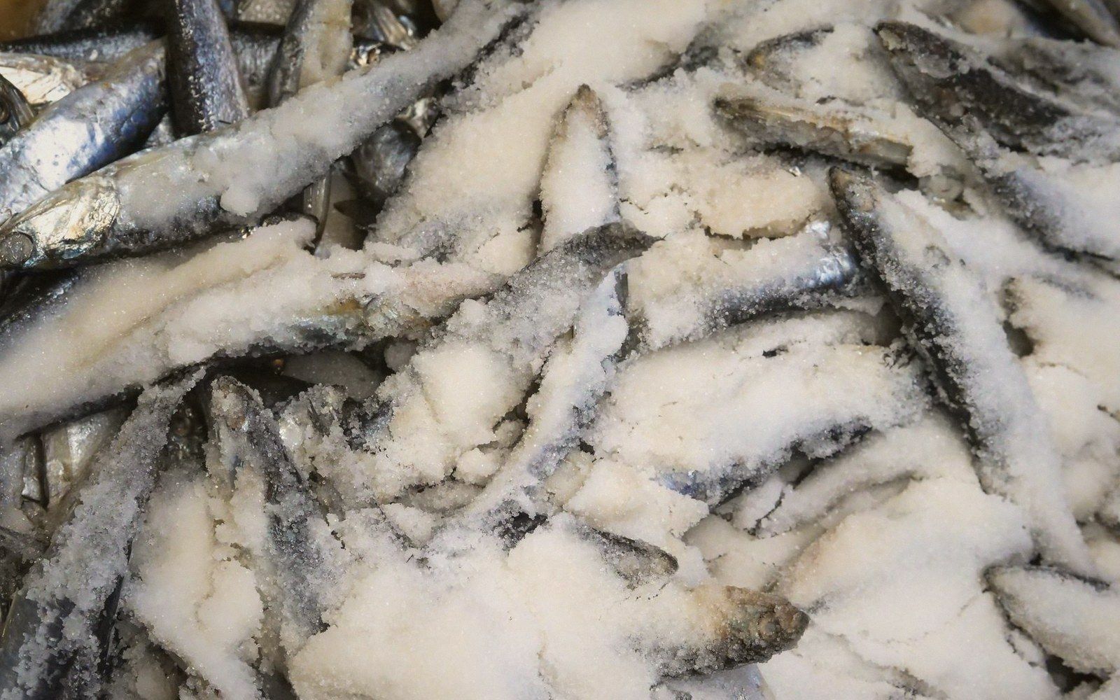 Small fish packed in coarse salt for curing and preservation